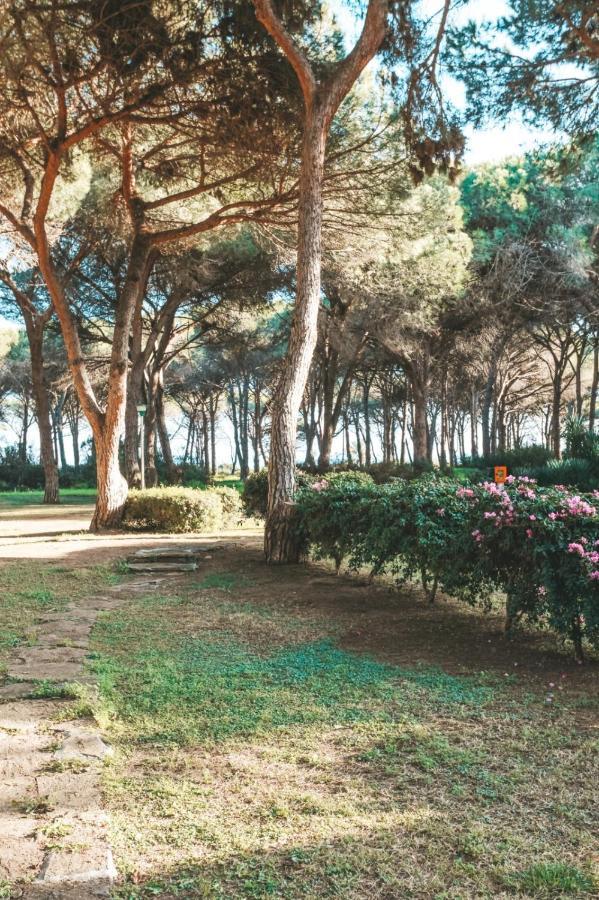 Villa Casa Di Gio Pula Esterno foto