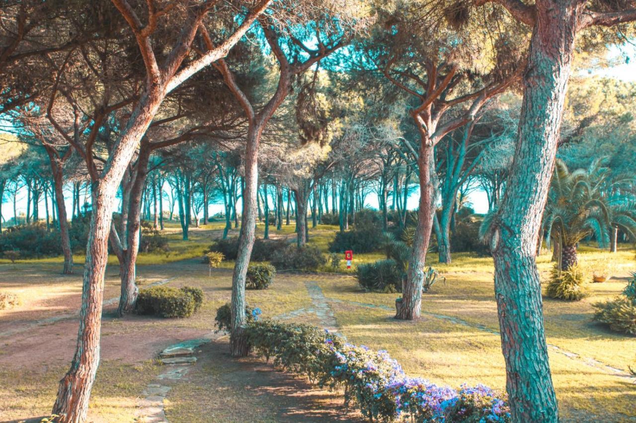 Villa Casa Di Gio Pula Esterno foto