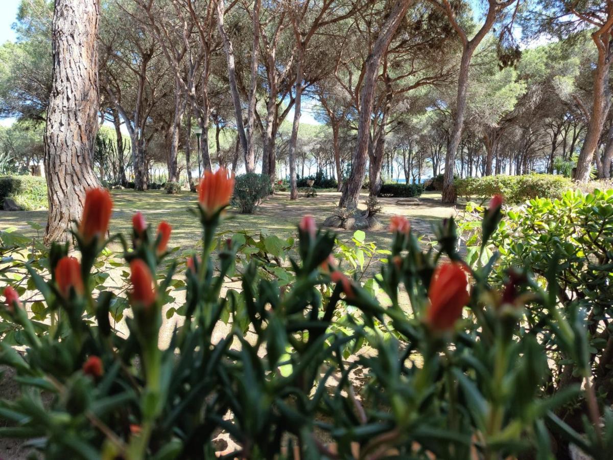 Villa Casa Di Gio Pula Esterno foto